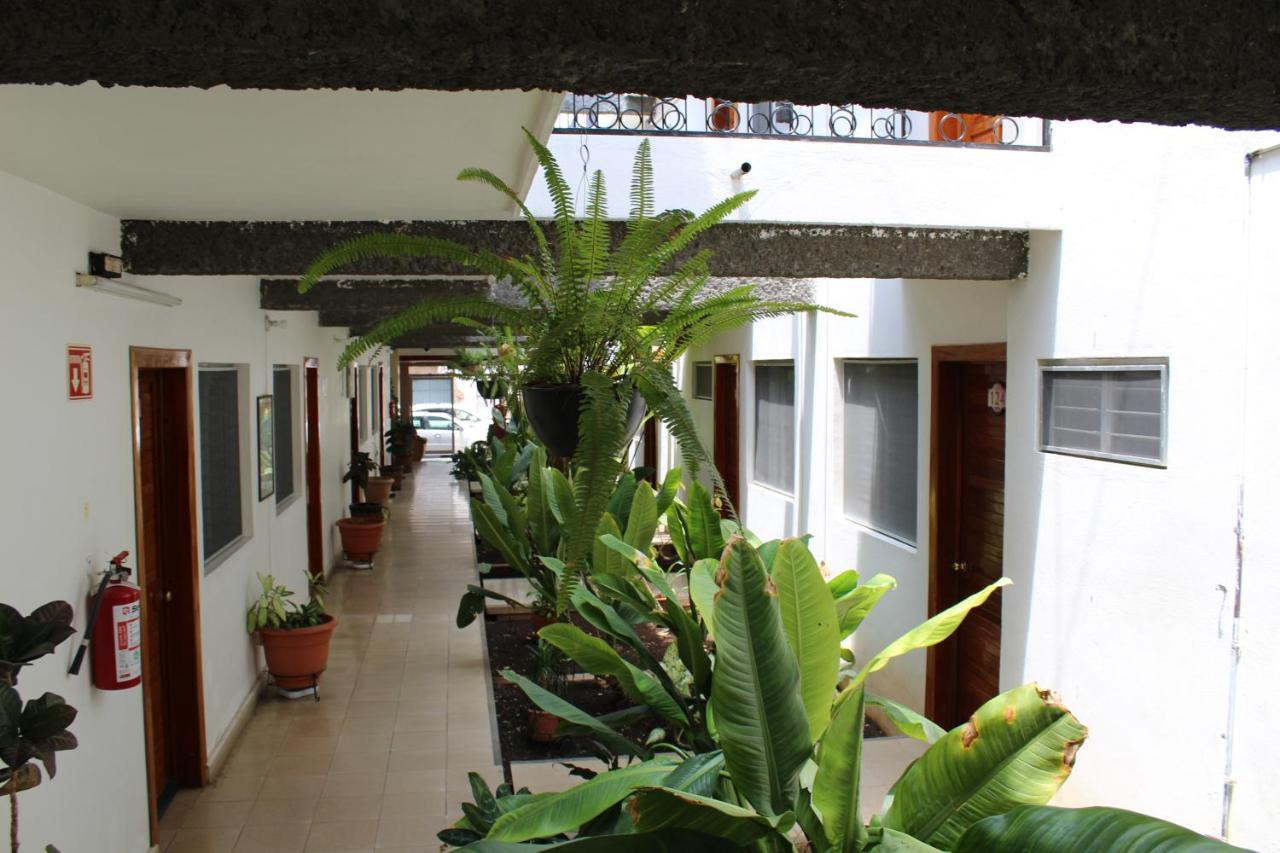 Hotel Casablanca Tuxtla Tuxtla Gutierrez Bagian luar foto